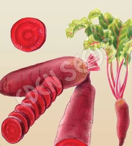 Bundaberg Health Foods — Your local health food experts