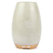 Aroma fern Leaf Diffuser