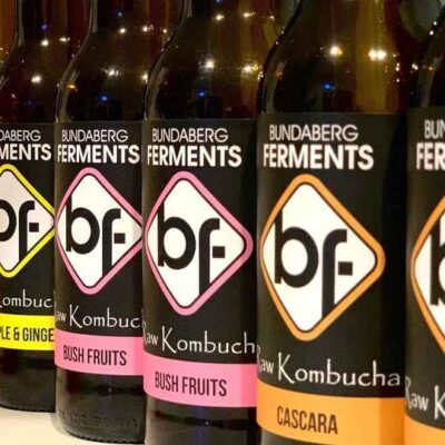BF Raw Kombucha Bush Fruits 330ml