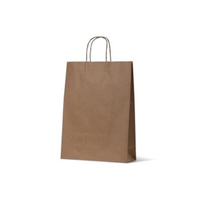 Kraft Bags Brown Junior 250per Carton
