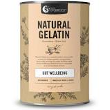 Nutra Organics Natural Gelatin Gut Wellbeing 300g