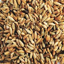 Rye Grain Whole price per kg