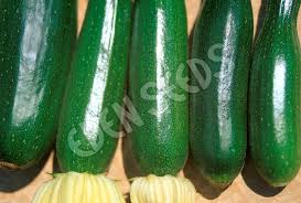 Eden Seeds Organic - Zucchini Black