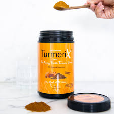 TurmeriX Powder 360gms