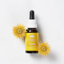 Bush Flower Essences Focus 30ml